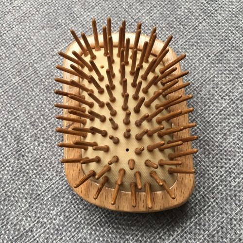 hair brush